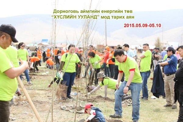 Хамрын хийдэд “Хайрын төгөл” байгуулах үйлсэд нийтийн дуучид нэгдлээ